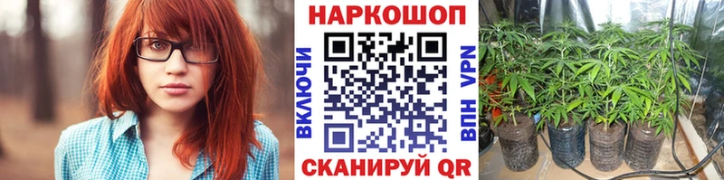 Купить закладку Кингисепп ГАШ Кокаин Меф мяу мяу СК MDMA МАРИХУАНА