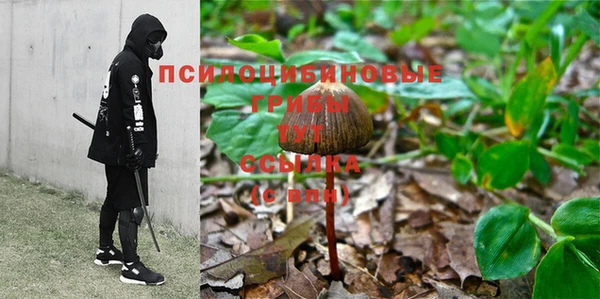 бошки Верхнеуральск