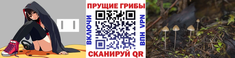 даркнет сайт  Кингисепп  Галлюциногенные грибы GOLDEN TEACHER 