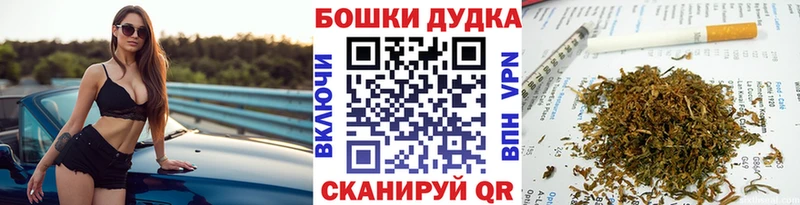 Канабис планчик  Кингисепп 